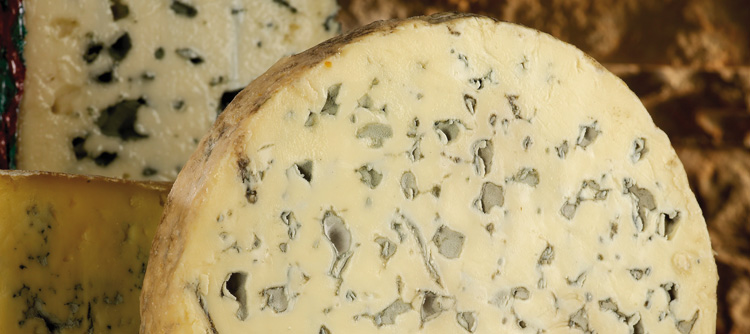 Fromages à pâte persillée  © BIVB / IMAGE & ASSOCIES 