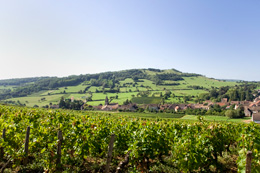 Oenotourisme, Route de la Côte Chalonnaise © BIVB / ARMELLEPHOTOGRAPHE.COM  
