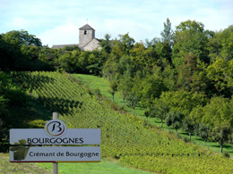 Oenotourisme, route du crémant de Bourgogne © BIVB / SUCHAUT C 