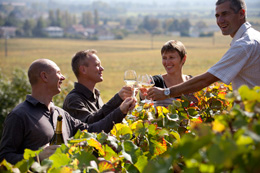 Oenotourisme et dégustation dans les vignes © BIVB / ARMELLEPHOTOGRAPHE.COM