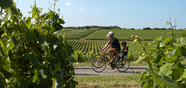 La Grande Route des Vins