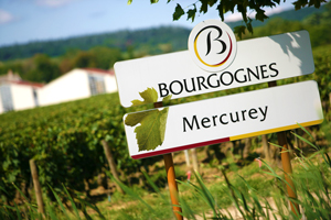 Panneau AOC vin Mercurey