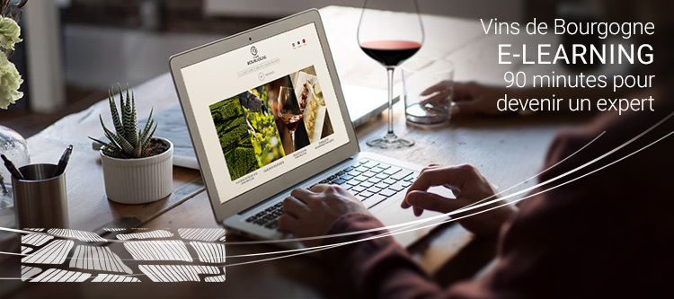  E-learning des Vins de Bourgogne, l'expert en formation 