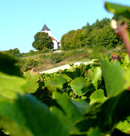 © SUCHAUT C. Paysage en Bourgogne viticole : le Châtillonnais