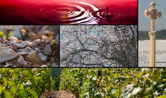© BIVB / ARMELLEPHOTOGRAPHE.COM / IBANEZ A.  Montage image de vigne de bourgogne