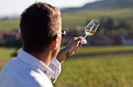 BIVB / ARMELLEPHOTOGRAPHE / Degustation d'un verre de Chardonnay dans les vignes