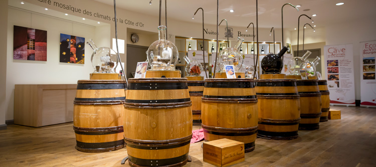 © BIVB / IBANEZ A. La cave aux arômes