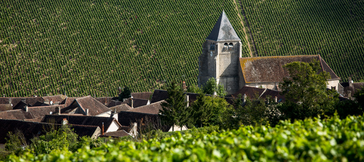 © BIVB / IBANEZ A Visites de villages typiques de Bourgogne
