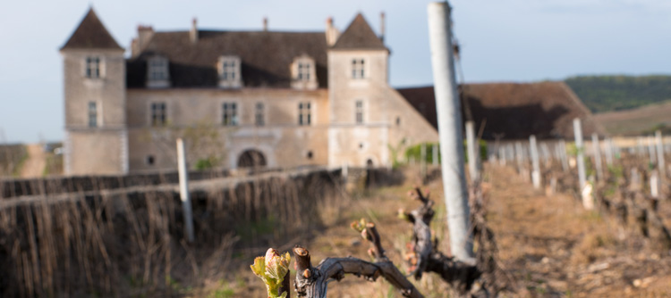 © BIVB / JOLY M Visites guidées au Château du Clos de Vougeot