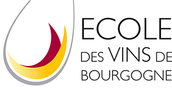 Ecole des Vins de Bourgogne - programme des formations