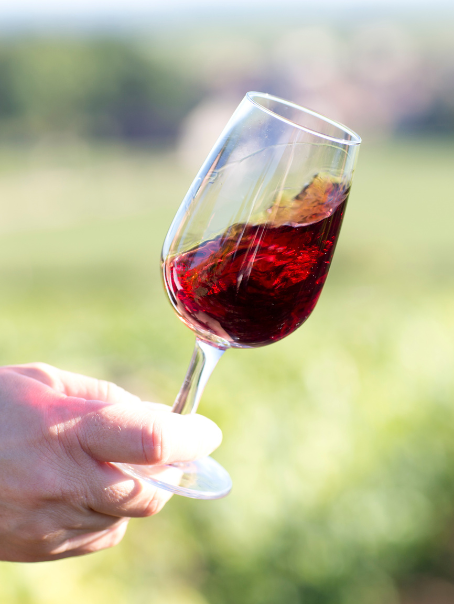 Atelier immersif "Vins de terroirs" ©Charlotte Fromont