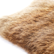 Fur