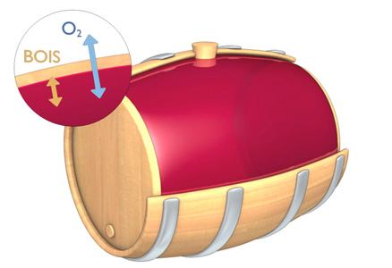 Vins de Bourgogne - Elevage