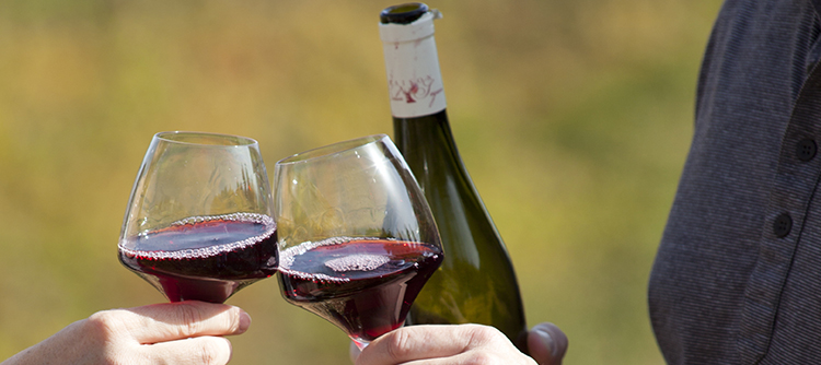 A boire assez jeune ou plus tard, les 2014 seront plutôt des grands Bourgogne