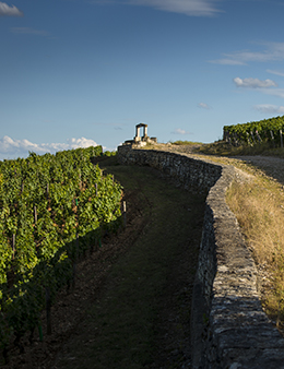 La Côte de Nuits et l'oenotourisme au Clos des Lambrays © BIVB / IBANEZ A.