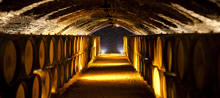 © BIVB / Ibanez A. Visite de domaines et de caves authentiques
