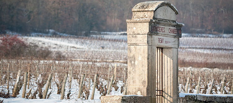 Oenotourisme de l'appellation Latricières-Chambertin ©BIVB / ARMELLE PHOTOGRAPHE