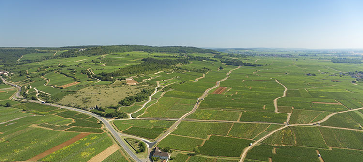 Oenotourisme dans les Grands Crus de Bourgogne © BIVB / IBANEZ A.