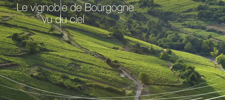 Photo Le vignoble de Bourgogne vu du ciel