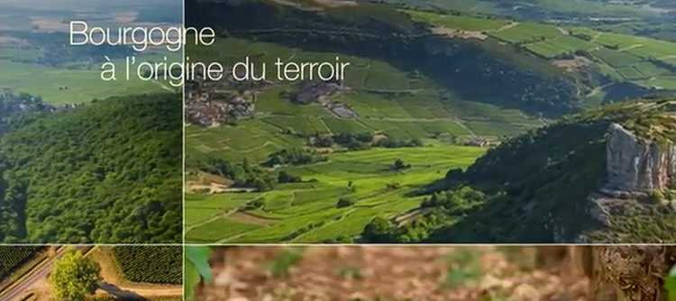 La Bourgogne à l’origine du terroir