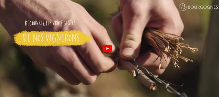 Un film pour découvrir le lien unique entre l’Homme et la terre.