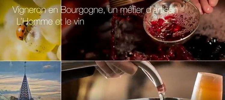 Court-métrage : "L'Homme et le vin" en Bourgogne