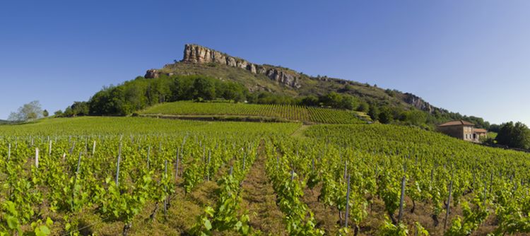L'appellation Pouilly-Fuissé.