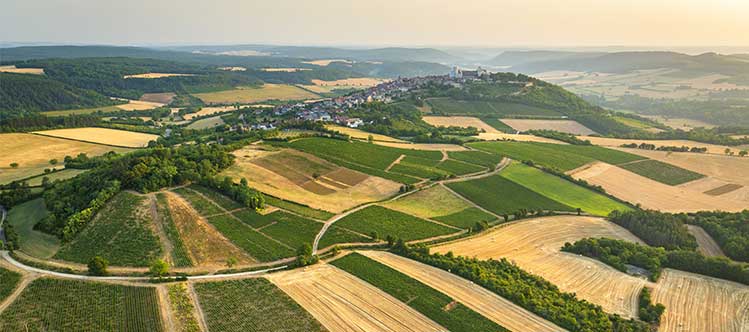 DANEMARK - Copenhague - Master class Vins de Bourgogne