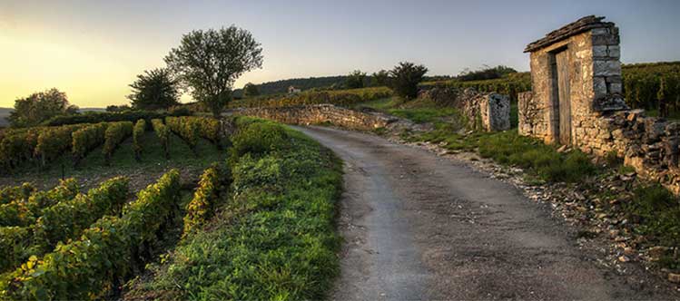 © BIVB / Droits réservés - Bourgogne en anglais, traduction ou non ?