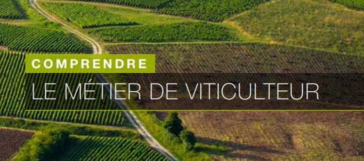 Comprendre le métier des viticulteurs en Bourgogne © Droits réservés