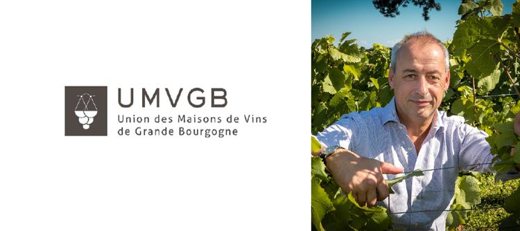 Un nouveau Président pour l’Union des Maisons de Vins de Bourgogne