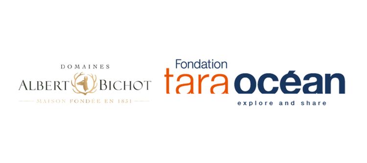 La Maison Albert Bichot s’engage auprès de la Fondation Tara Océan