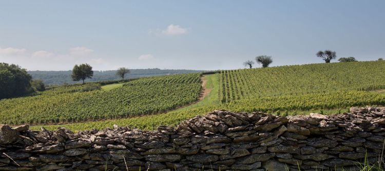 Grand Bourgogne Tour : la nouvelle expérience originale dans toute la France !