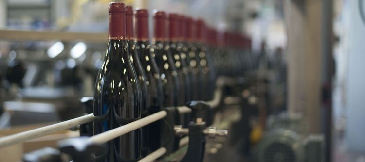 Economie des vins de Bourgogne novembre 2023