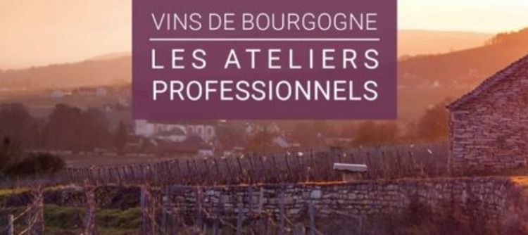 Formation professionnelle vins de Bourgogne sommelier caviste restaurateur