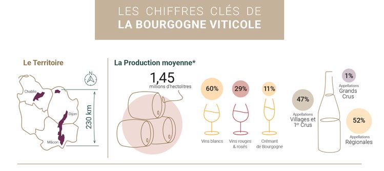 Découvrez la présentation des chiffres clés de la Bourgogne Viticole