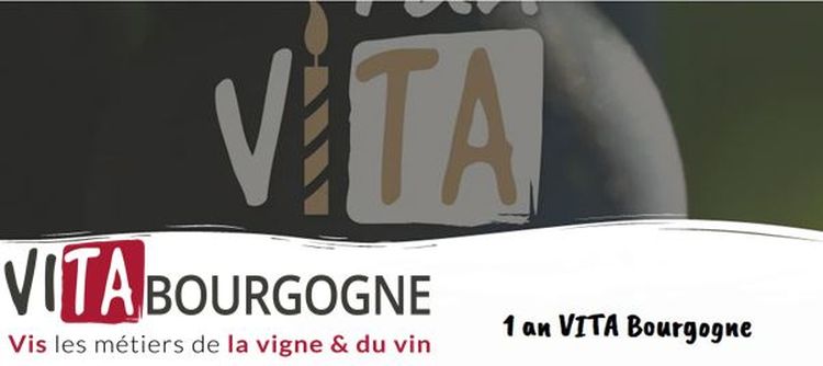 VITA Bourgogne : Un an déjà !