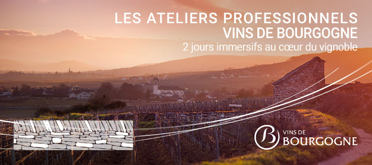 Formation professionnelle vins de Bourgogne sommelier caviste restaurateur