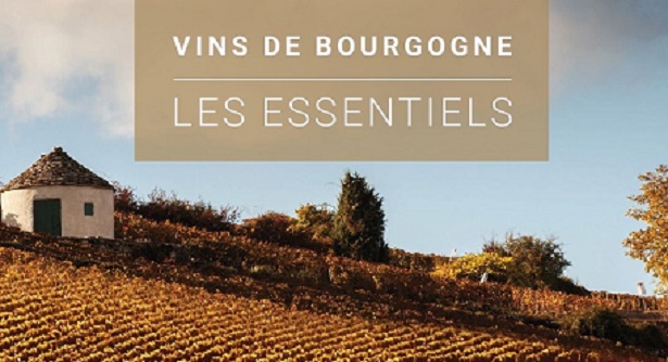 Les essentiels des vins de Bourgogne