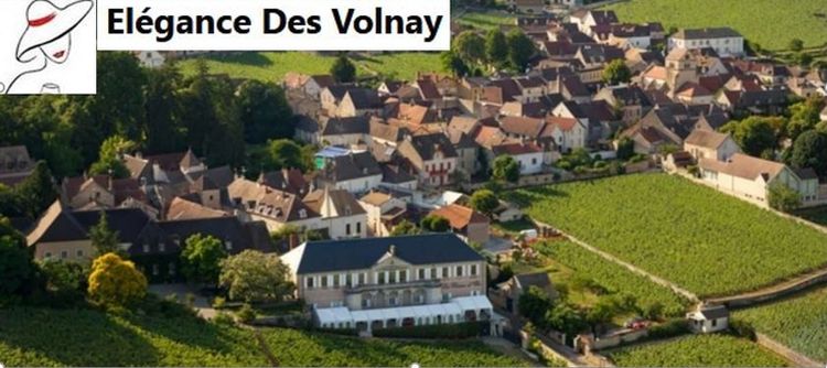 Une journée de promotion pour l'appellation Volnay