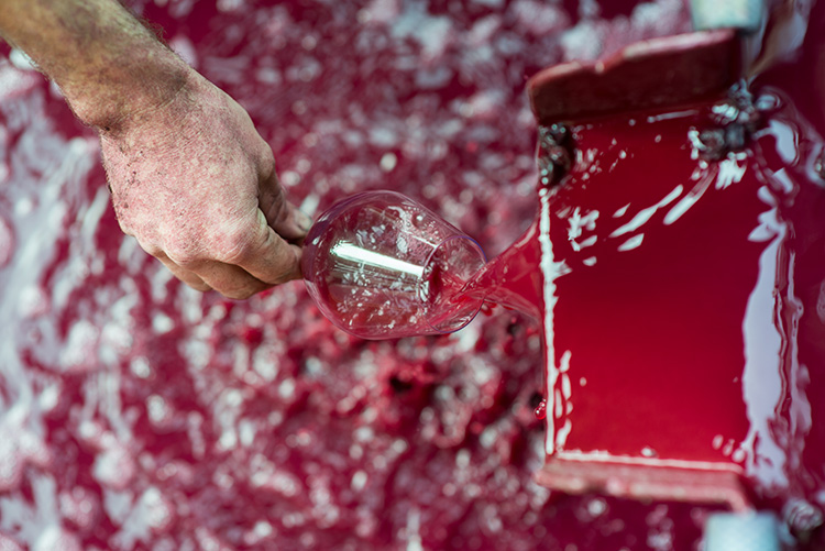 L'art et la manière de créer le vin