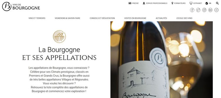 Les millennials au cœur du site  www.vins-bourgogne.fr