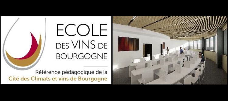 L’École des Vins : un acteur central de la Cité des Climats et vins de Bourgogne