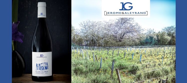 Domaine Jérôme Galeyrand : Marsannay « Clos du Roy »