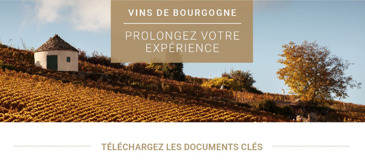 A la recherche d’informations clés sur les vins de Bourgogne ?