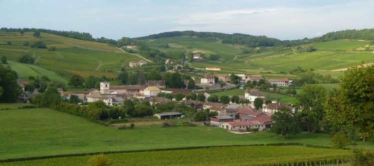 St Vincent Cantonale