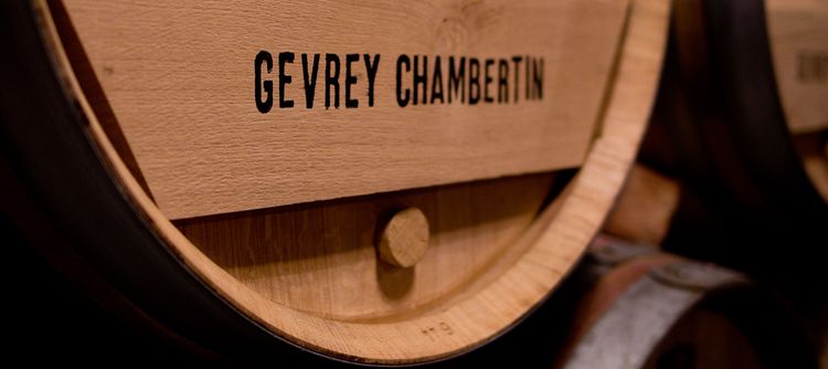 Gevrey, joyau de la Côte de Nuits (photo: BIVB / Sébastien Narbeburu)