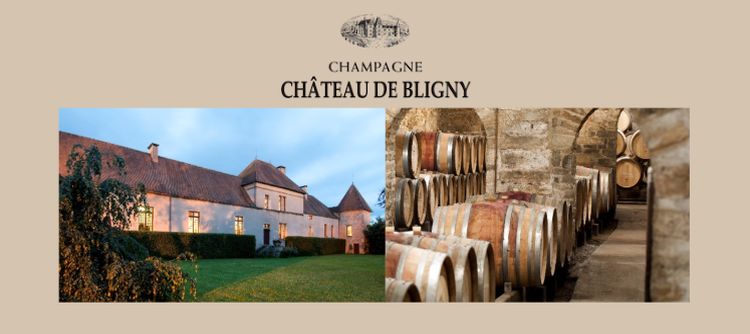 Deuxième année du Wine Studio au Château de Bligny