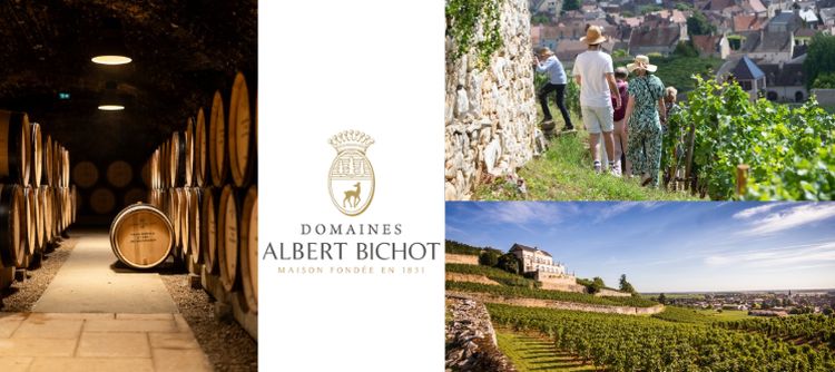La Maison Albert Bichot célèbre le Mois des Climats