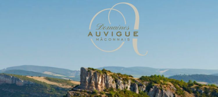 Des expériences oenotouristiques des Domaines Auvigue en Mâconnais
